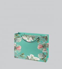 PAPER CALADIUM L